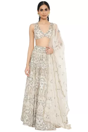 Aalaya Embroidered Choli With Lehenga And Dupatta