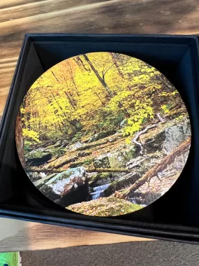 Fall In Dark Hollow Wooden Fine Art Photographic Coaster Set of 4 4.5"